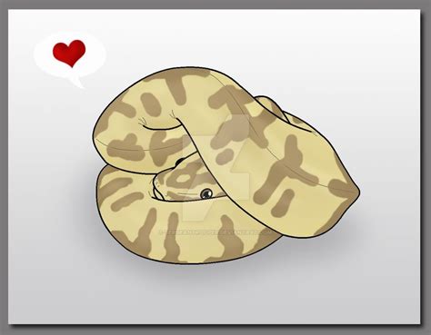 Ball Python used Defense Curl by SergeanTrooper on DeviantArt | Ball python, Snake drawing, Python