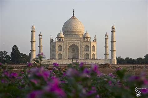 In the Pink of Taj | Taj mahal, Photography, Imagery