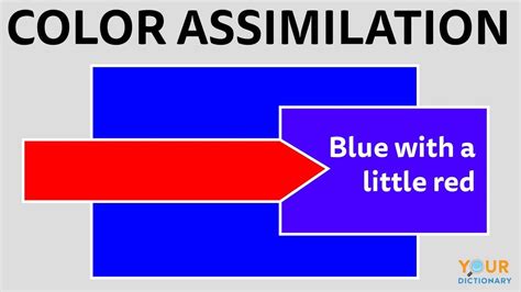 Examples of Assimilation: 6 Types Explained | YourDictionary