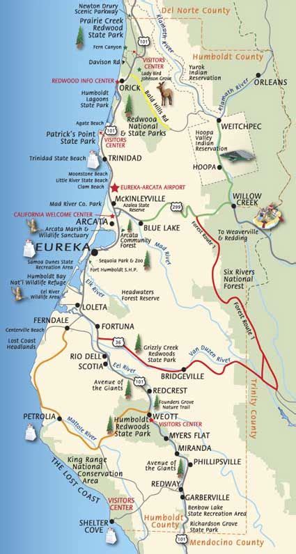 This is the area of northern California where the giant Redwoods are ...