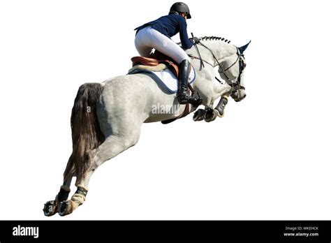 Equestrian Sports, Horse Jumping Event, Isolated on White Background ...