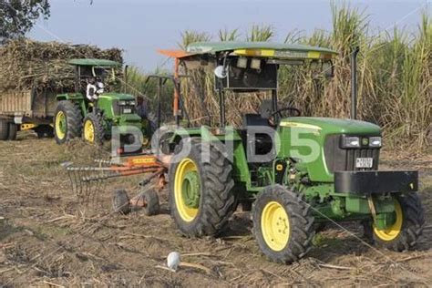 India, sugar cane farming INDIA, Punjab, Kharar, sugar cane farming, *** ... ~ Hi Res #248190118