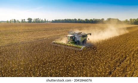 3,679 Sunflower Harvest Photos Stock Photos, Images & Photography ...