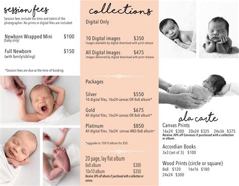 Newborn Photography Pricing Guide - 2020 - Columbus Ohio Newborn ...