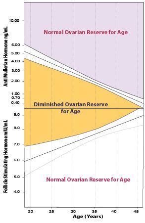 Can FSH or AMH accurately predict pregnancy chances with IVF?: Center for Human Reproduction ...