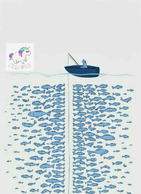 Fish Blank Template - Imgflip