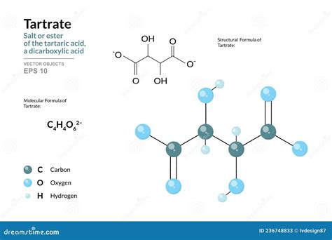 Tartaric Acid Molecular Structure Isolated On Grey Royalty-Free Cartoon | CartoonDealer.com ...