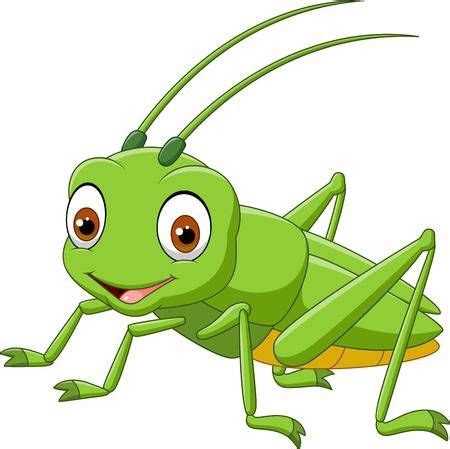 Cartoon Grasshopper - Grasshopper Cartoon Vector Happy Illustration Vectorstock Cricket Vectors ...