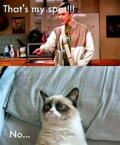 Sheldon vs. Grumpy Cat | Things That Make Me LOL | Pinterest | Grumpy ...