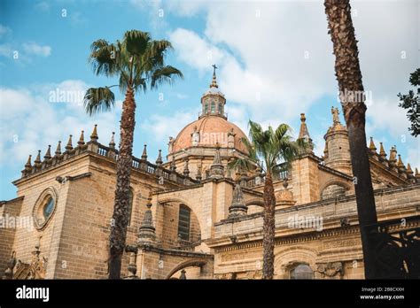 Magnificent Ancient Architecture: Jerez de la Frontera Cathedral with Palm Trees Stock Photo - Alamy