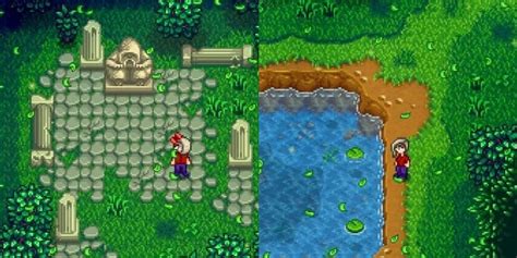 Stardew Valley: 10 Things To Do In The Secret Woods | ScreenRant