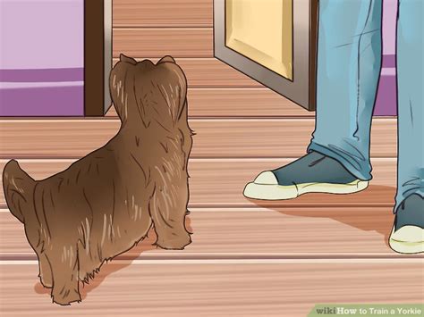 How to Train a Yorkie (with Pictures) - wikiHow