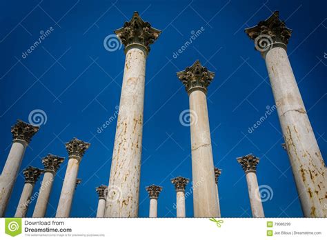 The Capitol Columns at the National Arboretum in Washington, DC. Stock ...