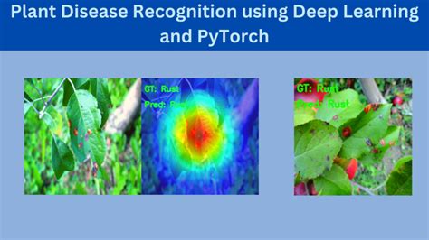 Plant Disease Recognition Using Deep Learning And PyTorch, 43% OFF