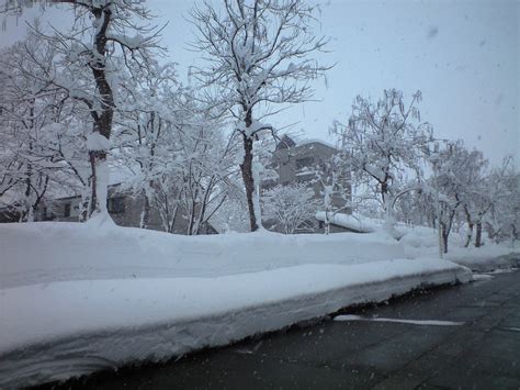 JAPAN through my eyes: Niigata snow