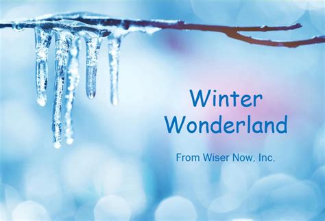 Winter Wonderland | Wiser Now Inc