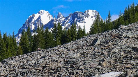 Fur & Feathers 500 - a Canada Big Year for Birds and Mammals: Kananaskis Country