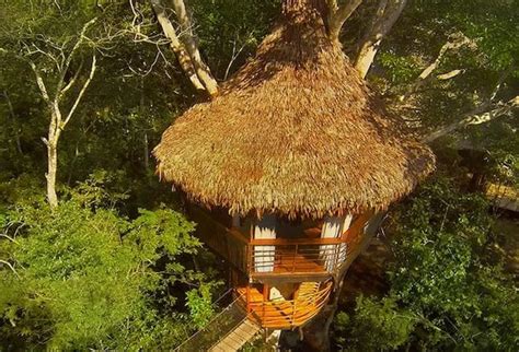 Treehouse Lodge, Peru Amazon | Itineraries & Prices 2021/22 ...