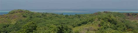 Terrestrial Environments - Coral Reef Research Foundation