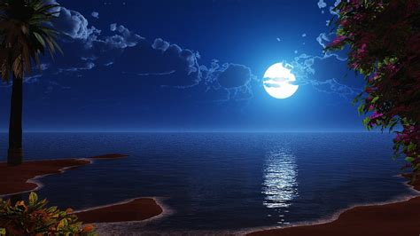 3840x2400 tropical beach, coast, full moon, night, scenery night ...