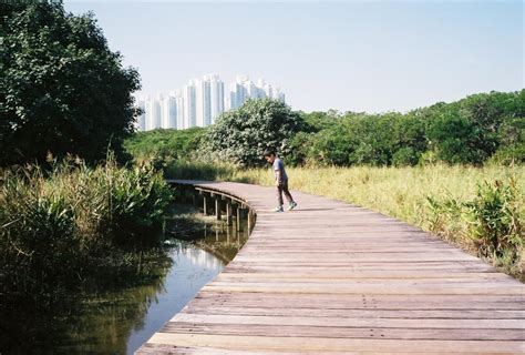 Hong Kong Wetland Park | Give It A Miss - Toucan Takes Off