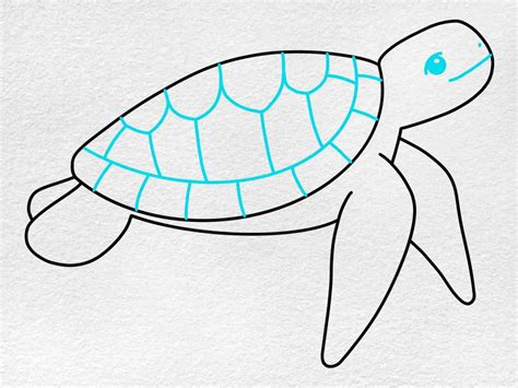 Easy Sea Turtle Drawing - HelloArtsy