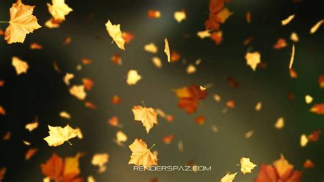 Fall Animated Wallpaper Windows 8 - YouTube | Autumn leaves, Autumn ...