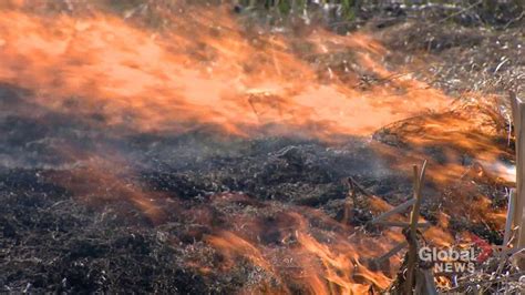 Overnight lightning sparks wildfire increase in Kamloops Fire Centre ...