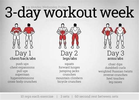 Muscle groups: 3 day workout plan by PearForTheTeacher