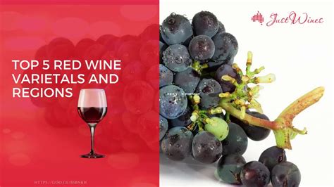Have You Heard Top 5 Red Wine Varietals and Regions Where These are Best Grown - YouTube