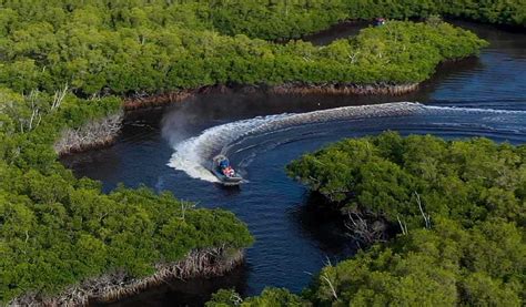 The “Original” Everglades City Airboat Tours