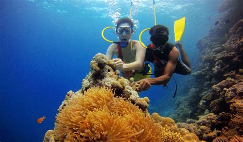 9 Places in India to Go Scuba Diving