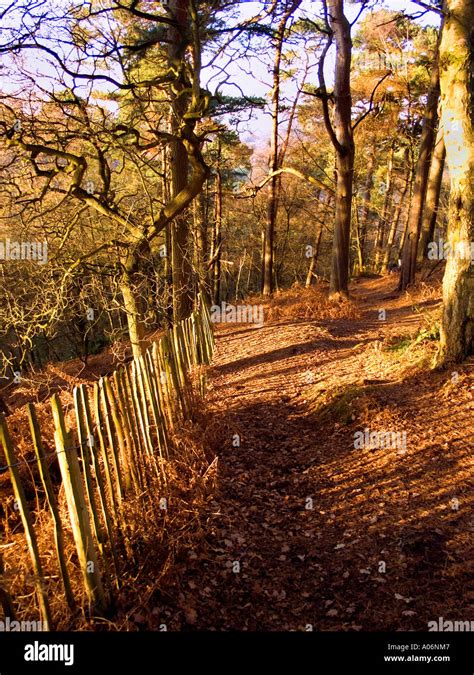 Alderley Edge Cheshire England Stock Photo - Alamy