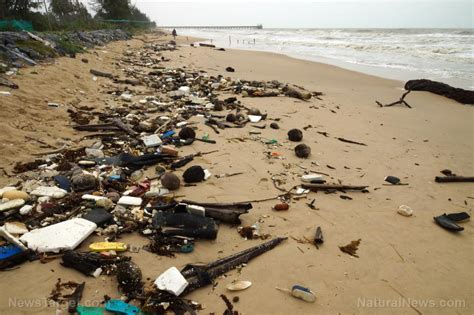 Plastic food packaging overtakes cigarette butts as most abundant litter on beaches