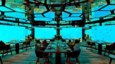 The Majestic Underwaters: Underwater Restaurants