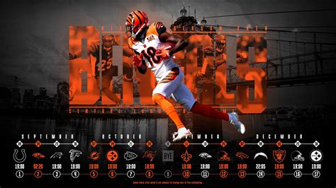 Cincinnati Bengals Wallpapers on WallpaperDog