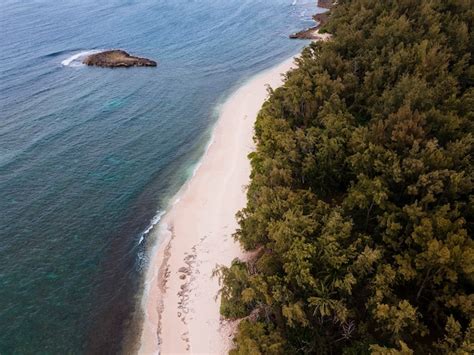 Free Photo | Breathtaking hawaii landscape with the beach