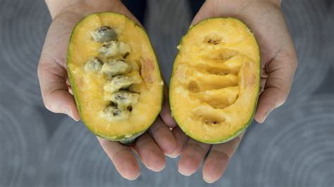 This Once-Obscure Fruit Is On Its Way To Becoming PawPaw-Pawpular : The Salt : NPR