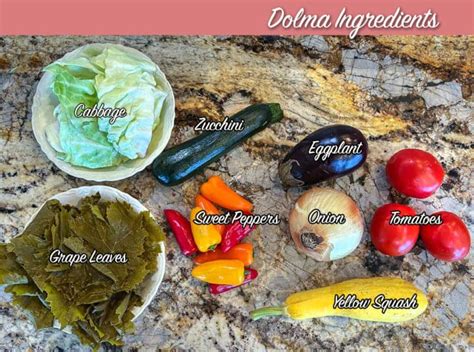 Mixed Vegetable Iraqi Dolma | Hilda's Kitchen Blog