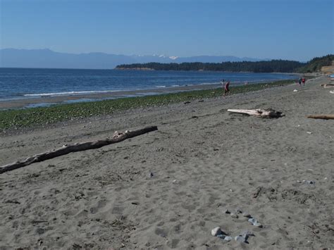 Esquimalt Lagoon | Visitor In Victoria