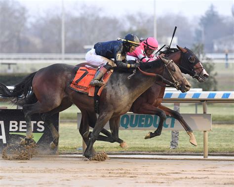 Dornoch en dos tiempos ganó el Remsen Stakes - Hípica Global