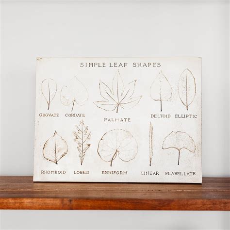 Simple Leaf Shapes – House Parts, Inc.