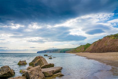 Does Filey Beach Allow Dogs