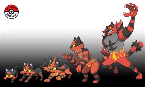 Litten in-progress evolution : r/LittenPokemon