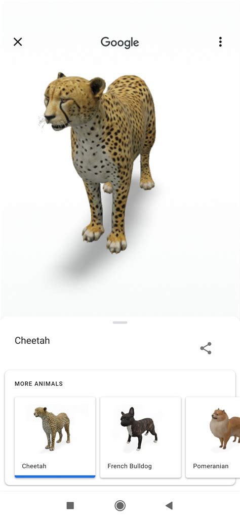 How to View Google's 3D Animals and Go on a Virtual Safari