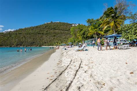 A Magens Bay Beach Break on St. Thomas - Travel Addicts