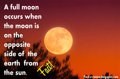 Moon Facts - 10+ Unbelievable Facts about the Moon - Fact-o-Rama