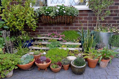 Sustainable gardens: 10 ideas for an eco-friendly space | Gardeningetc