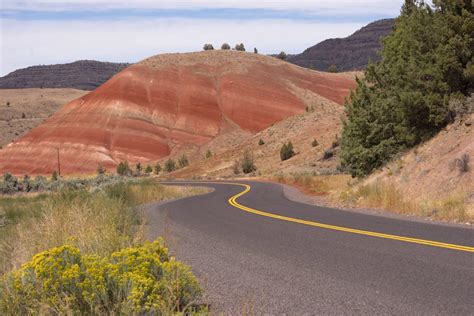 Fossil Hunting for Beginners: What to Look for and Where to Start ...