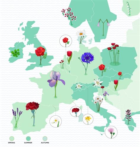 The Roots of Europe's National Flowers